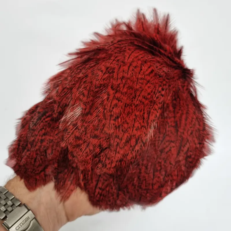 Whiting Coq de Leon Hen Cape in Speckled Red-8